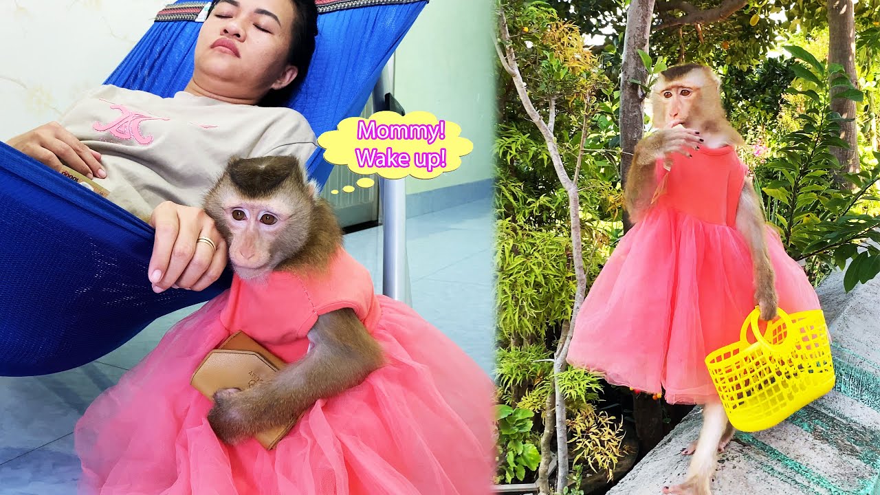 Monkey Lyly patiently waits for her mother to wake up to ask for money to go shopping.