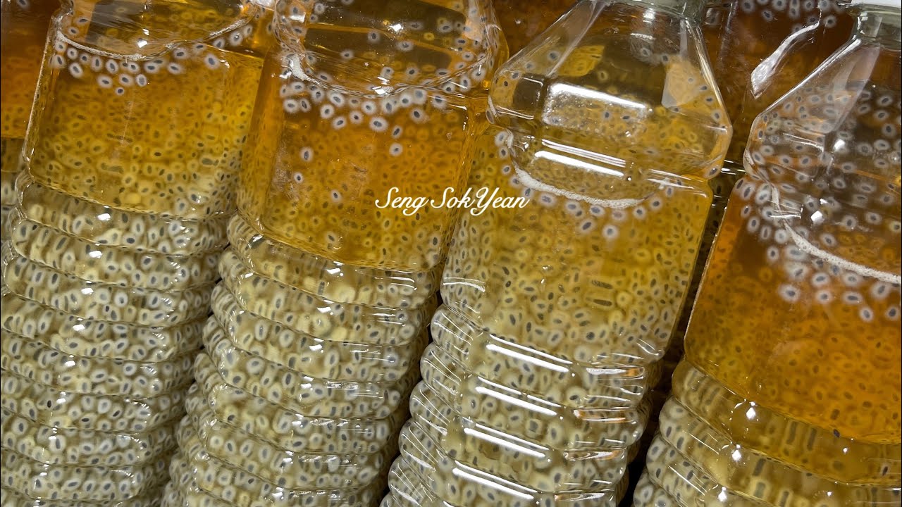 #របៀបធ្វេីទឹកគ្រាប់ជី ក្បួនលក់