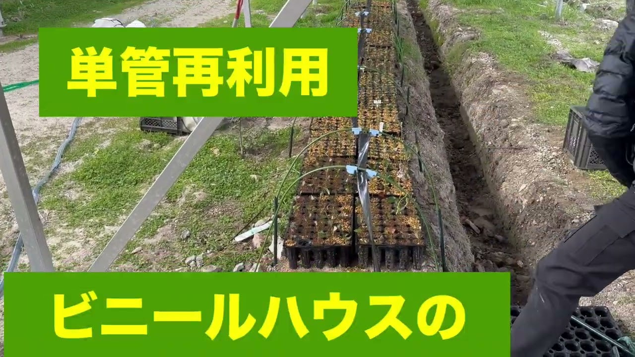 「強風で倒壊→トンネル化で復旧！暴風ネット＋自動散水」