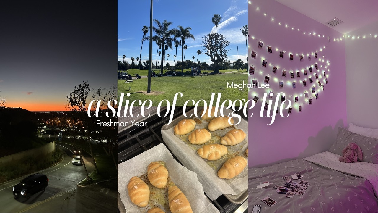 a slice of college life