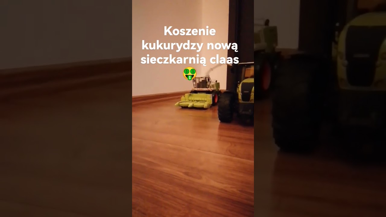 koszenie kukurydzy claas przyczepa 12T operowo #2023 😎🤑