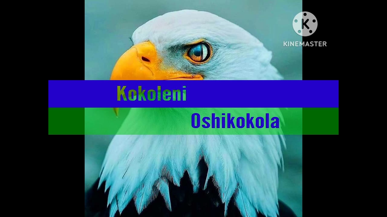 Kokoleni Oshikokola