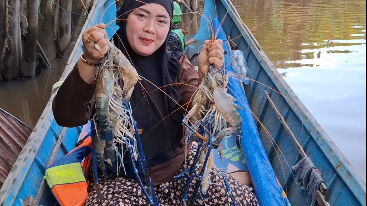 Nekat mancing udang galah saat hujan petir,malah banyak strike udang galah capit biru dan kuning