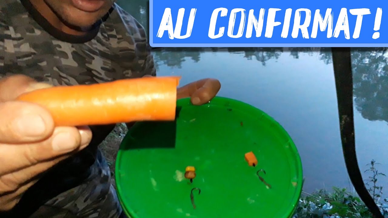 Două dintre cele mai bune momeli naturale pentru CRAPI SĂLBATICI