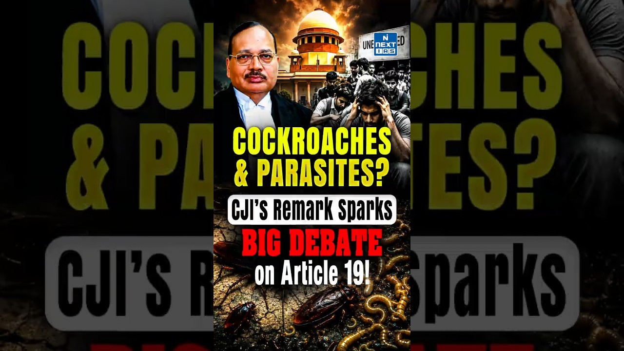 CJI&rsquo;s &ldquo;Cockroaches & Parasites&rdquo; Remark | Sparks Debate on Article 19 & Democracy | NEXT IAS