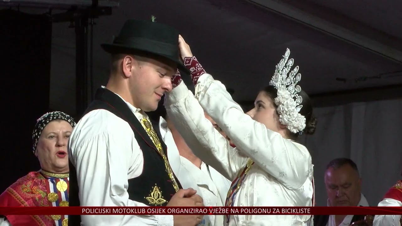 Čepinski suncokreti najljepši su čuvari tradicije i običaja