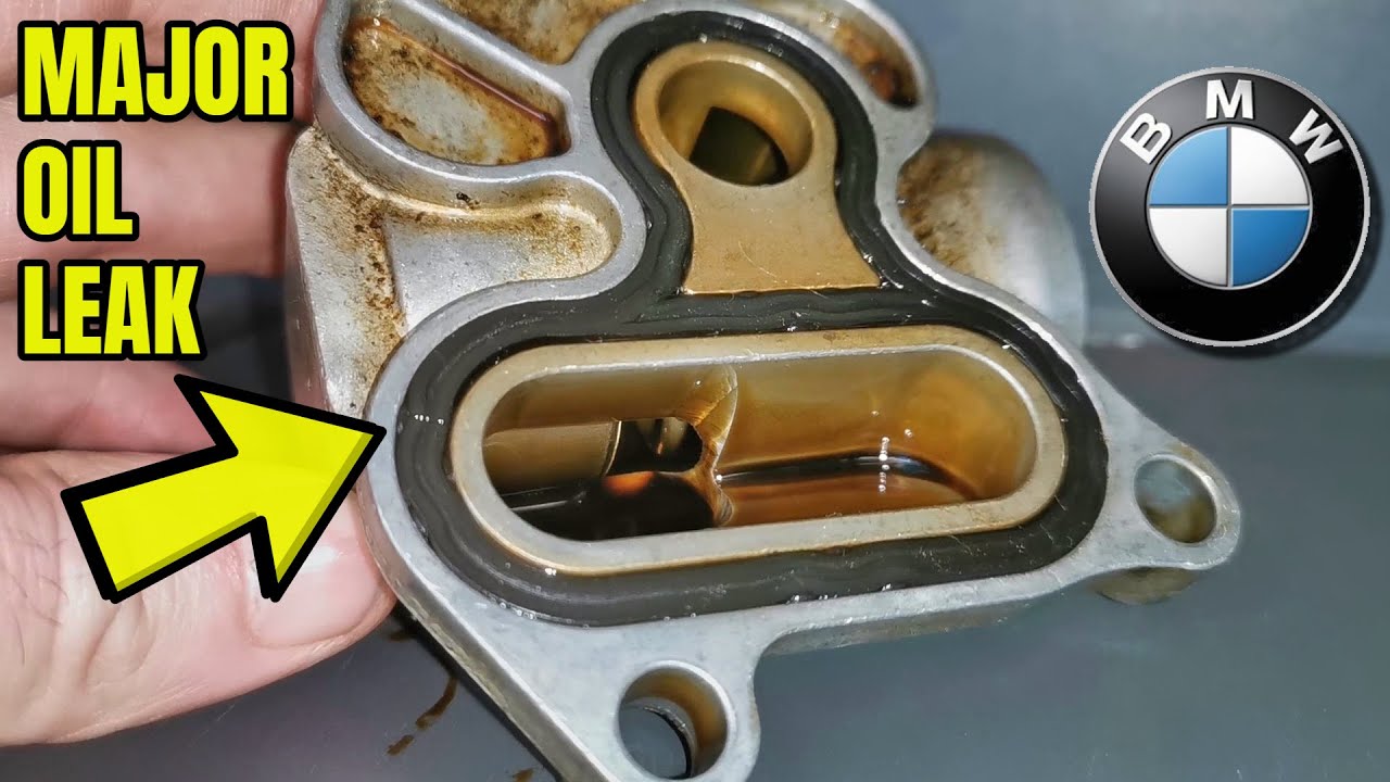 BMW X5 Major Oil Leak Found & Fixed - 4.8L V8 N62 - 2 Minute Quick Tip
