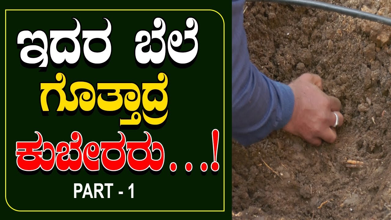 ಅಡಿಕೆ ಮರದ ಬೇಡಿಕೆಗಳು ಏನೆಂದು ಗೊತ್ತಾದ್ರೆ ನೀವು ಬೆಚ್ಚಿ ಬೀಳೋದು ಗ್ಯಾರೆಂಟಿ | Areca nut tree demands