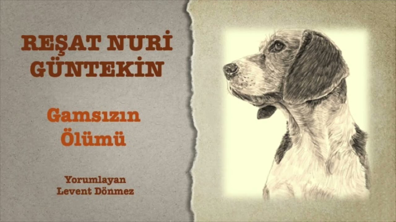 Reşat Nuri Güntekin - Gamsızın Ölümü