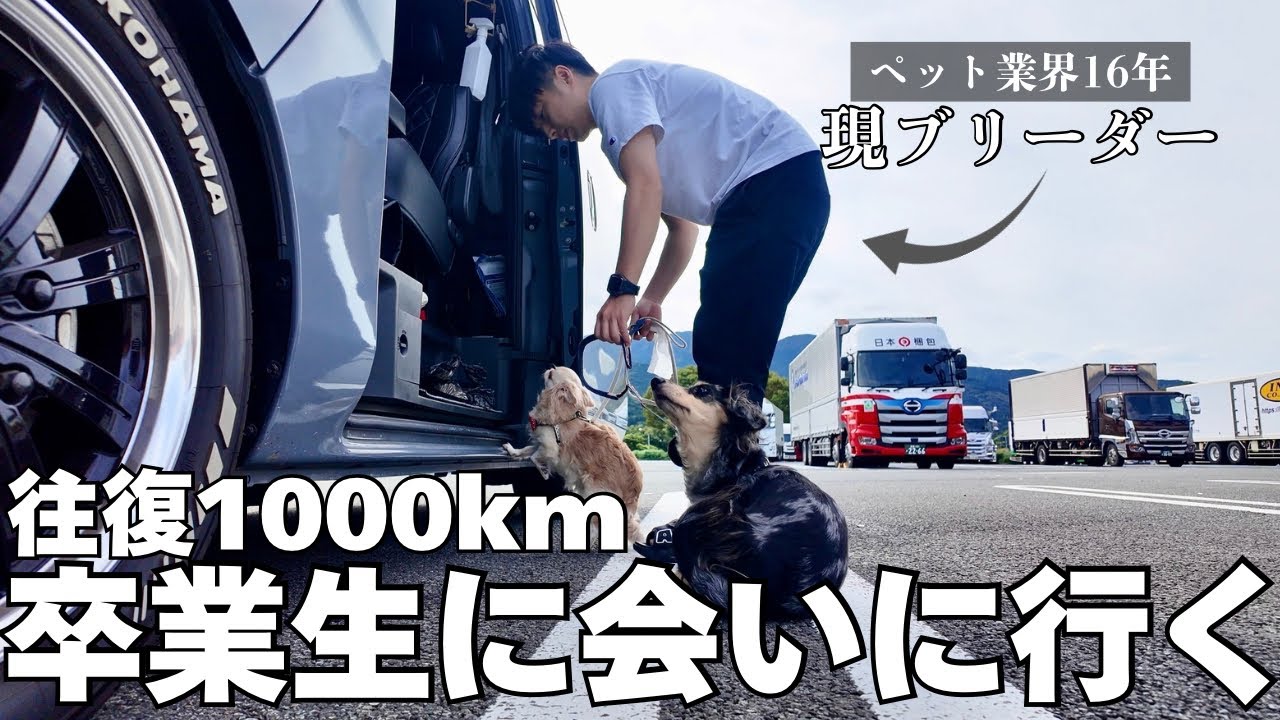 【感動の再会】犬連れ車中泊しながら自分が育てた卒業生達に会いに行ってきた