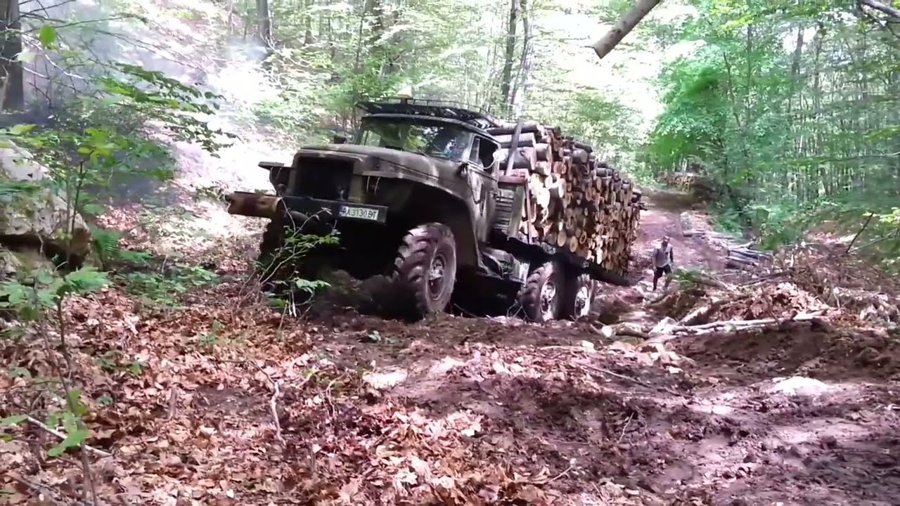 Bestias forestales 6x6