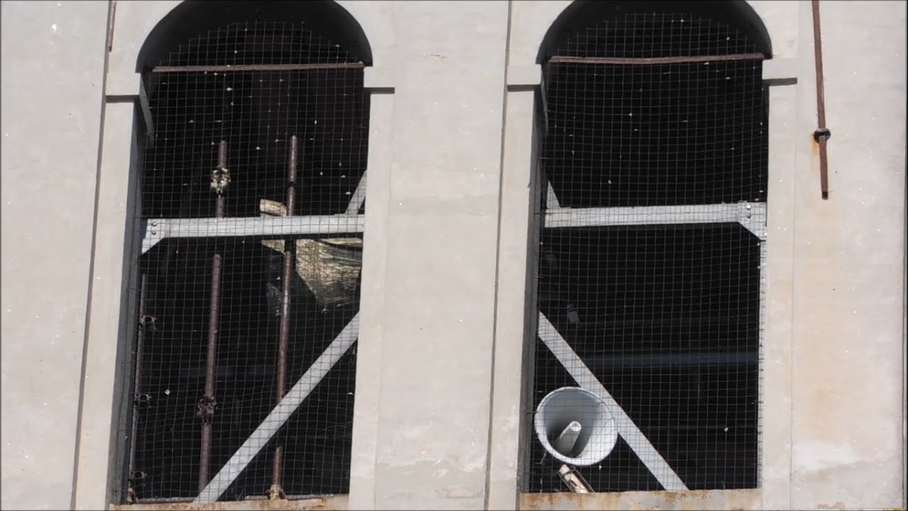 Campane di Castelmassa (RO) - Angelus e distesa feriale
