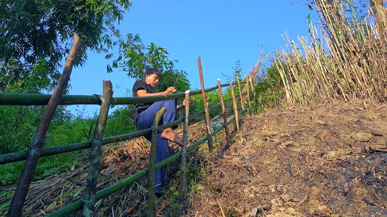 Watering, fence protecting corn garden, Cooking for mother and daughter LULU, On a farm | Ep.239