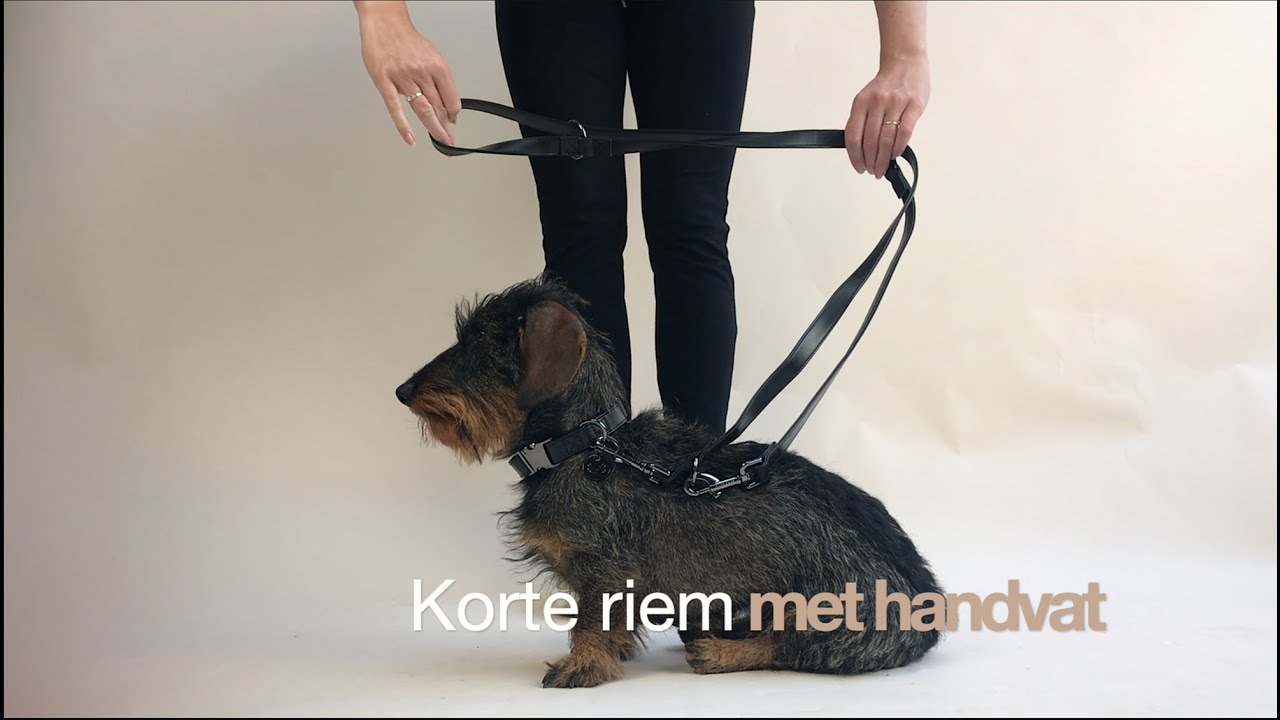 Verstelbare lange hondenriem van DOGA