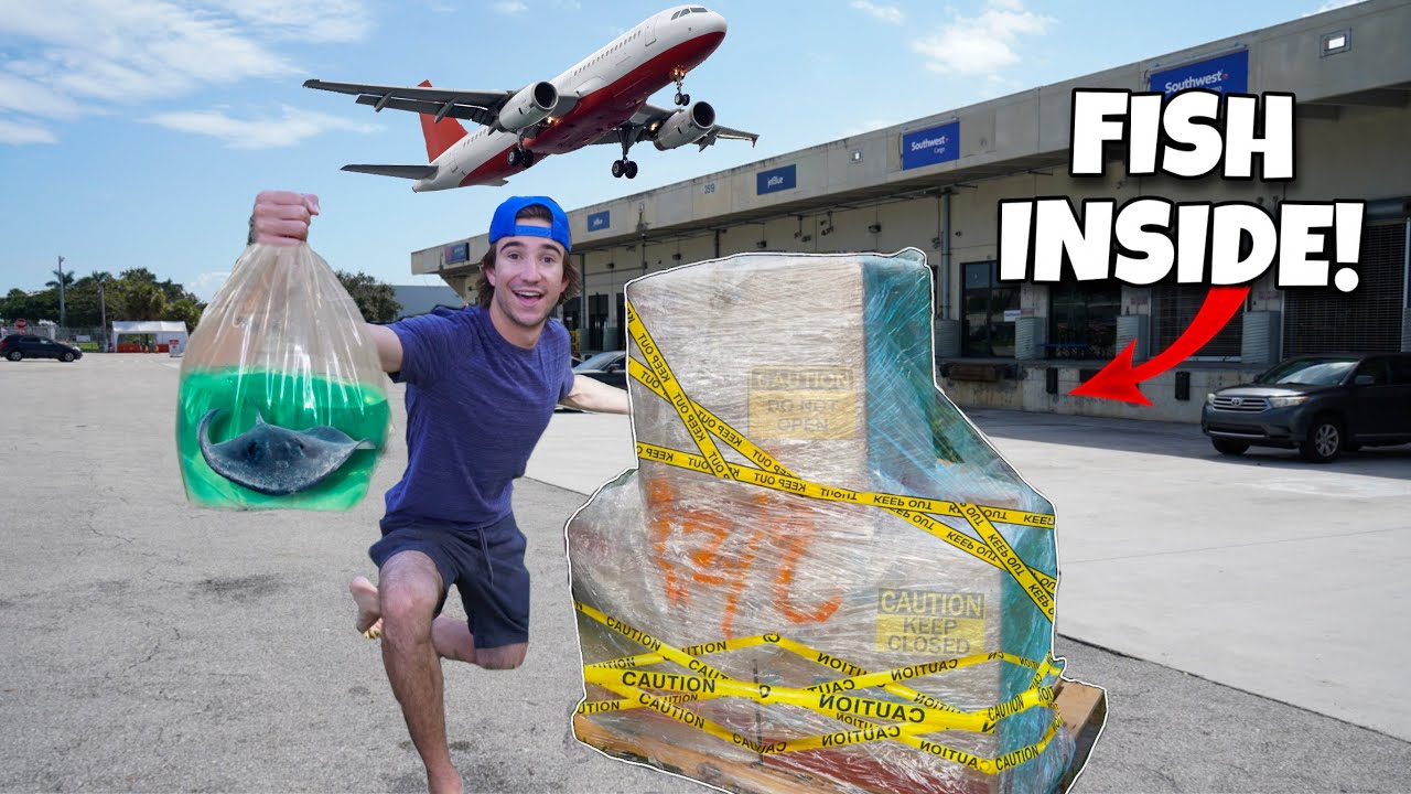 Buying LIVE FISH From An AIRPORT!!