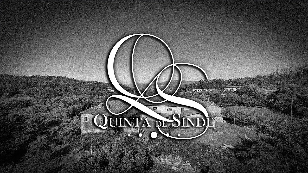 Quinta de Sinde — onde o tempo repousa e o futuro aguarda.