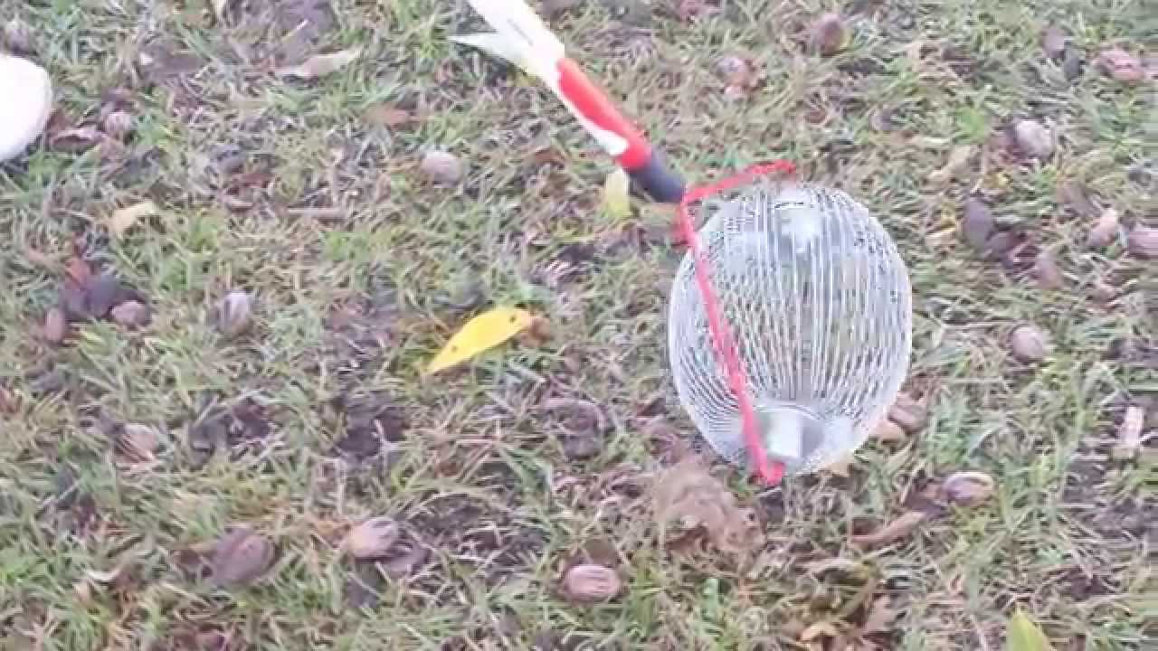 The easy way to pick up pecans in your yard! Weasel Nut Gatherer