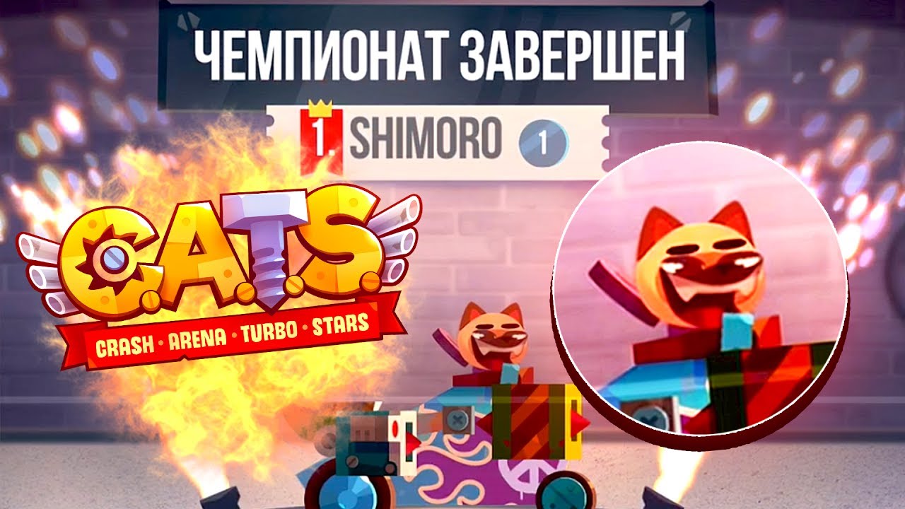 СУПЕР ГИГАНТСКИЕ ЯЩИКИ И НЕСКОЛЬКО ЧЕМПИОНАТОВ ПОДРЯД В CATS #11