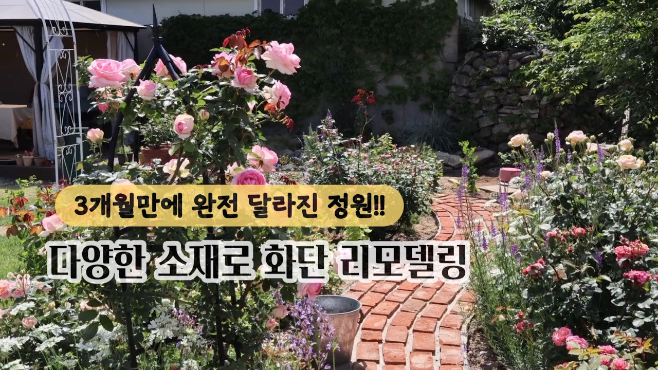 #.48단정하고예쁜화단만들기 ㅣ정원꾸미기3개월기록ㅣ화단만드는팁ㅣ셀프로정원꾸미기