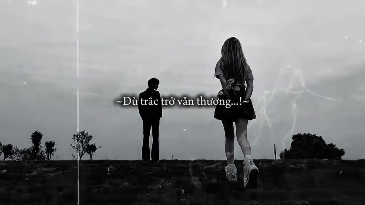 Tổng hợp nhạc chill tiktok | làm gì có tháng 13 làm gì có ai thương ta thật lòng| #sharkbkack_music