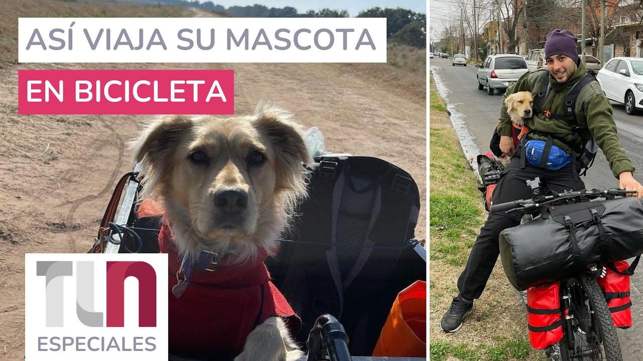 Dejó todo y viaja en bici con su perra hasta el fin del mundo