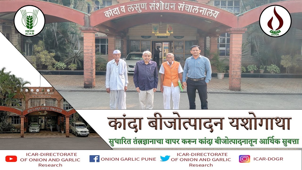 कांदा बीजोत्पादन यशोगाथा - सुधारित तंत्रज्ञानाचा वापर करून कांदा बीजोत्पादनातून आर्थिक सुबत्ता