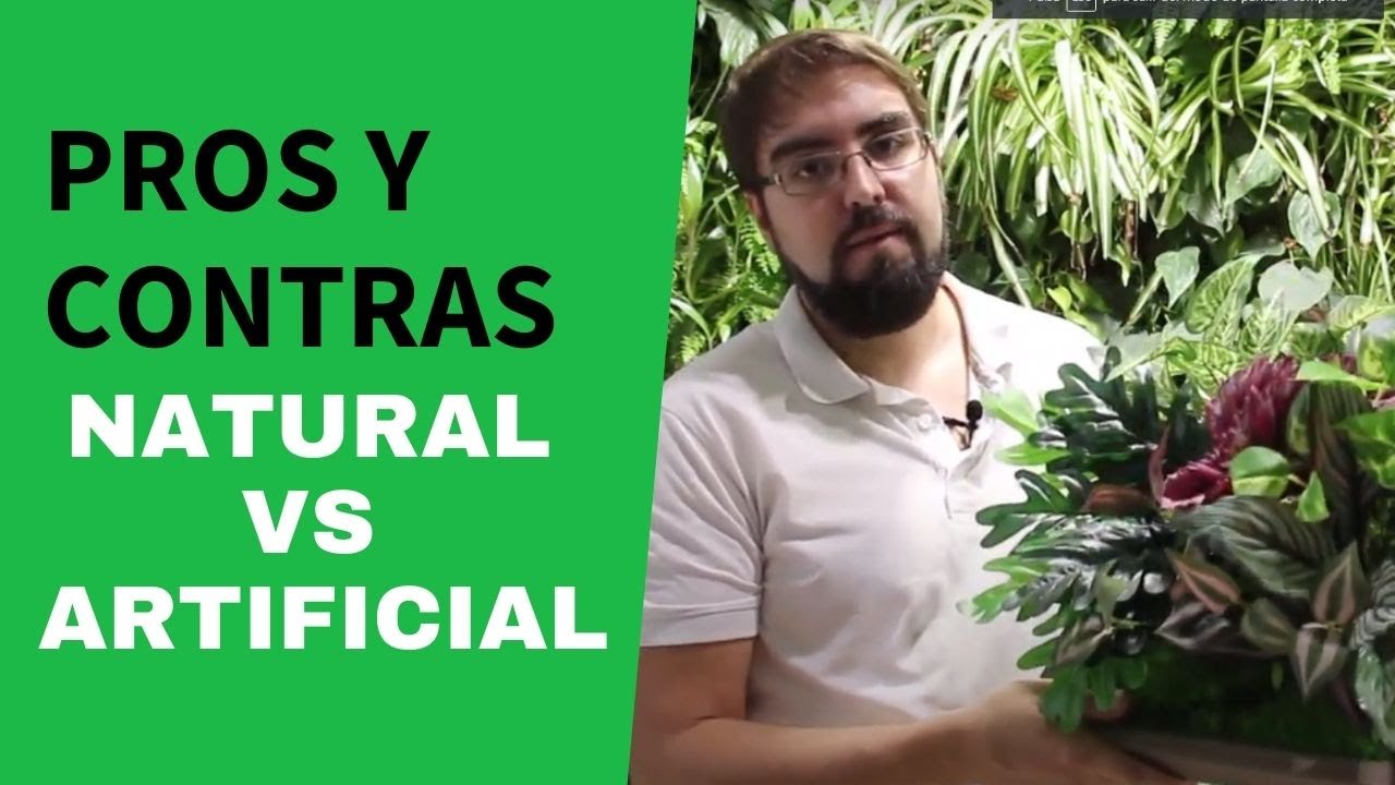 Jardines verticales artificiales frente a jardines verticales naturales