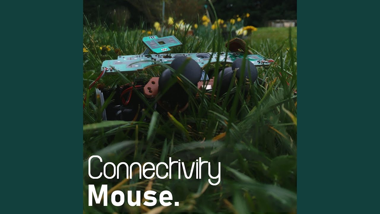 Connectivity
