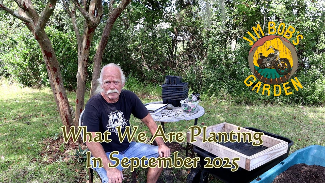 What We Are Planting In September 2025