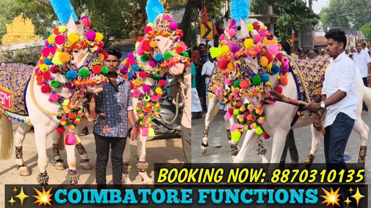 #VSM_DANCING_HORSE& EVENTS#BOOK_NOW:8870310135#vsmevent #coimbatore #trending #nikkah #pollachi #new