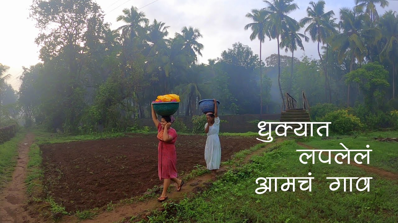 कोंकणातील आमचं धुक्यात लपलेलं गाव | नानांची भातशेती | कोकणातील लावणी | मालवणी माणूस |ColoursOfKonkan