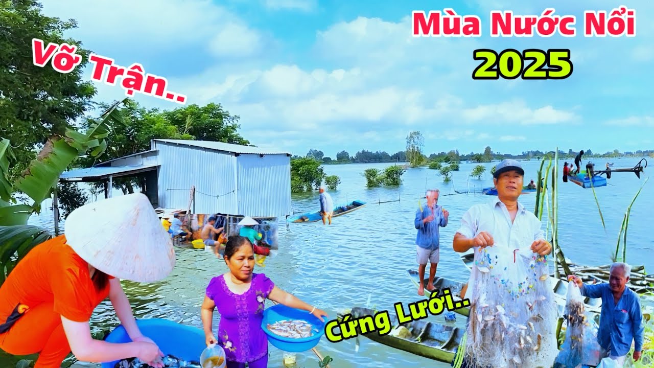 An Giang Mùa Nước Nổi Bà Con Giăng Lưới Dính Gỡ Không Nổi Quá Trời Rồi 