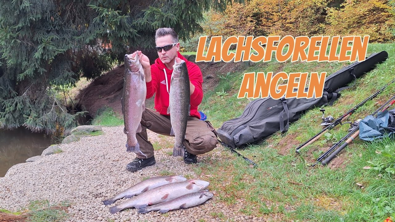 Ein Tag am Forellensee-Biss auf Biss!#Lachsforellen #forelle #angeln 