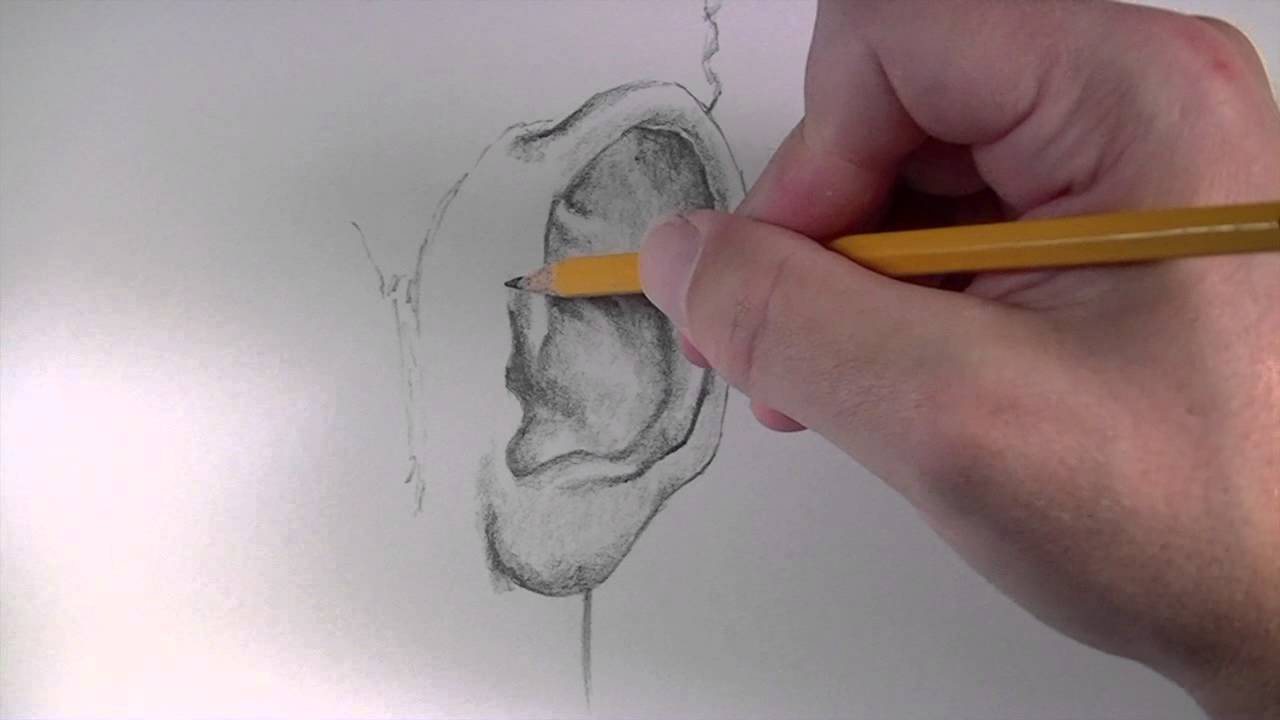 How to Draw an Ear