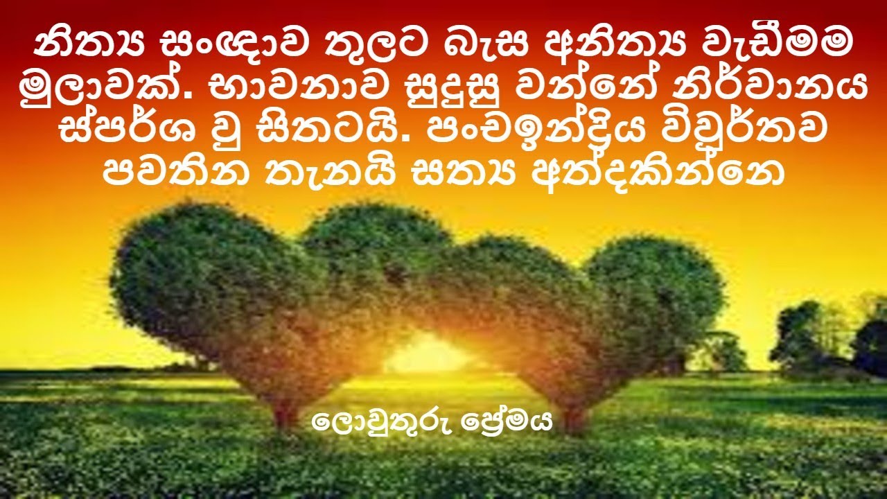 නිත්‍ය සංඥාව තුලට බැස අනිත්‍ය වැඩීමම මුලාවක්. භාවනාව සුදුසු වන්නේ නිර්වානය ස්පර්ශ වු සිතටයි.