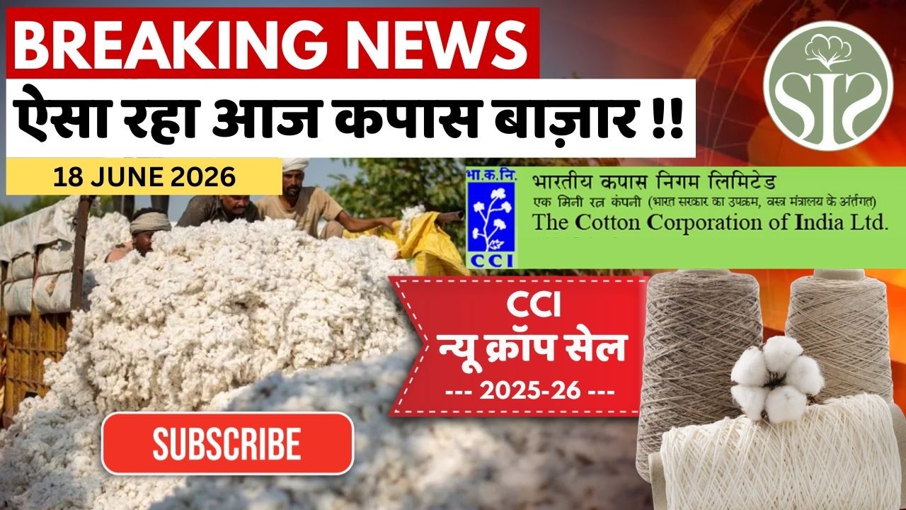 आज का कपास बाजार भाव LIVE 🤔| CCI बिक्री अपडेट, राज्यवार मंडी भाव और Cotton Rate Today #kapas #rates