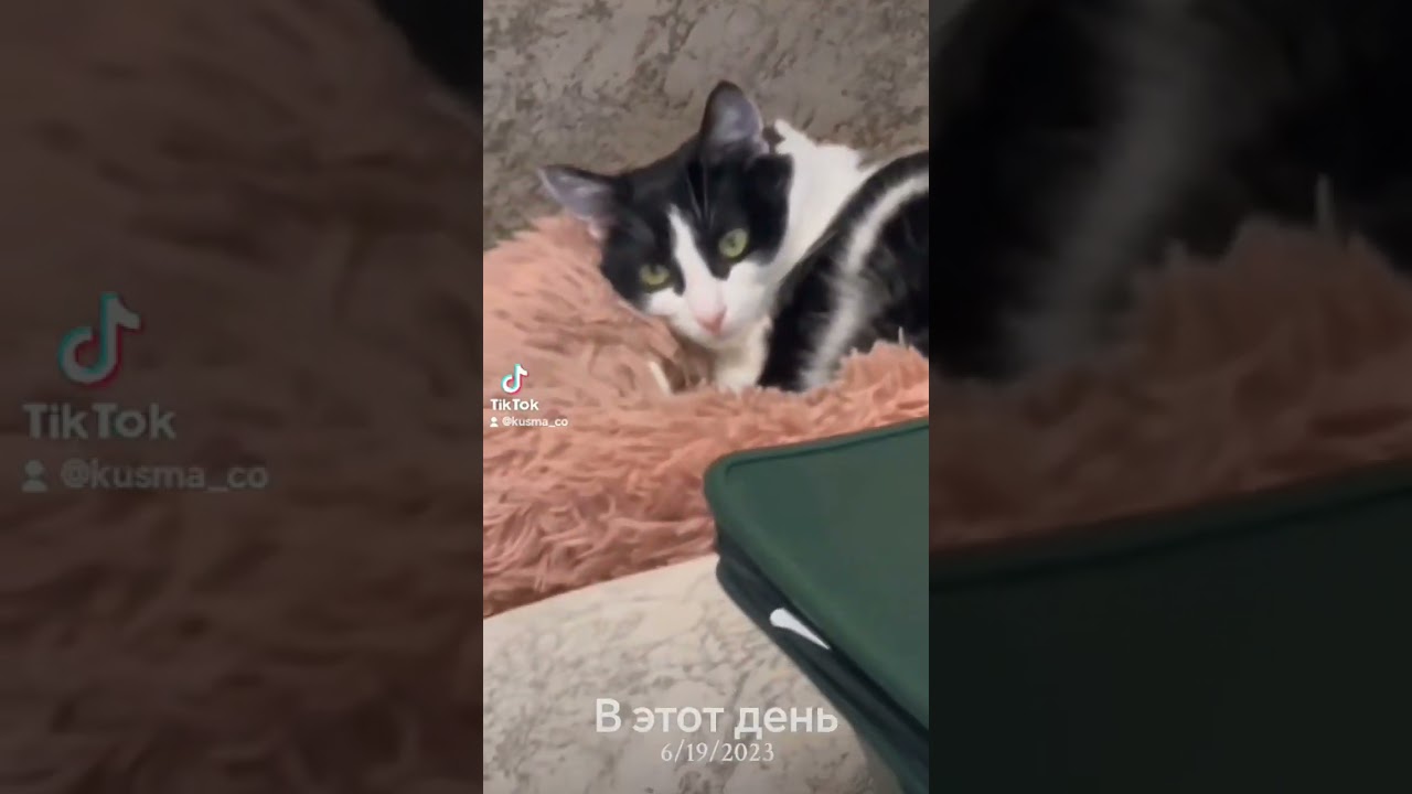 Матильда 😍 