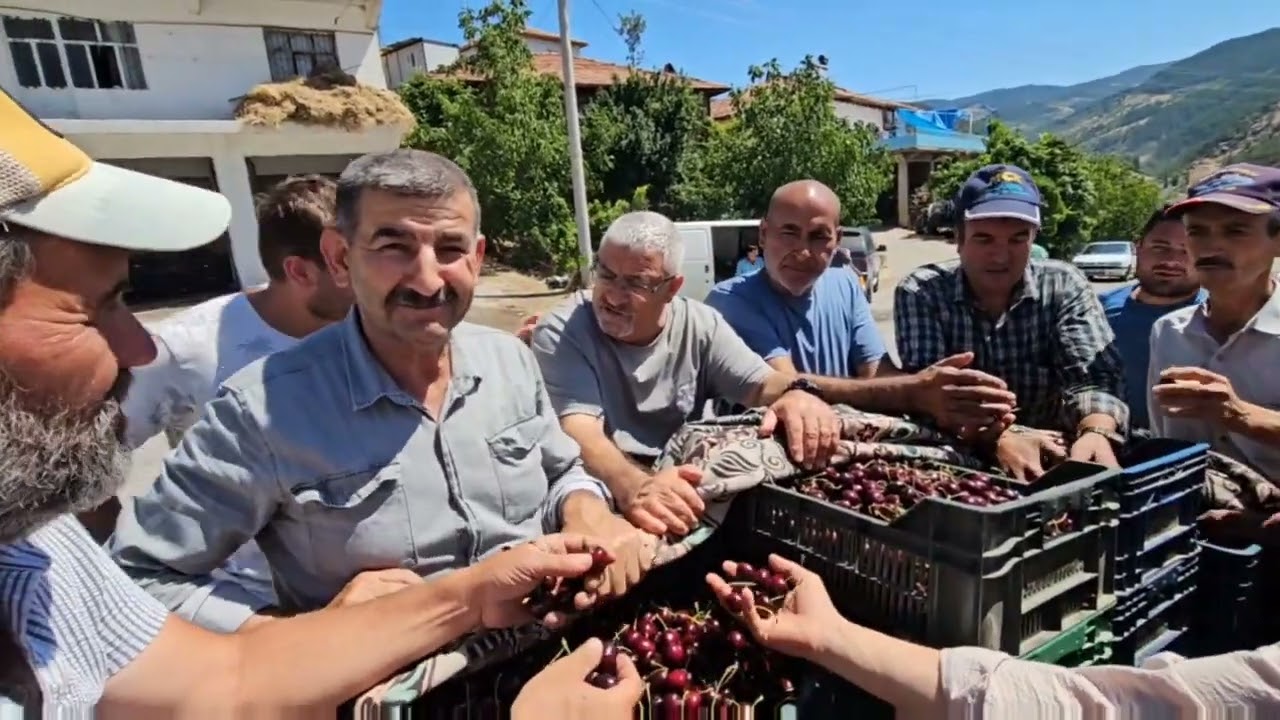 DEMİRCİ'nin MİNNETLER KÖYÜ KİRAZ ALIM YERİNDEN GÖRÜNTÜLER 08-07-2024