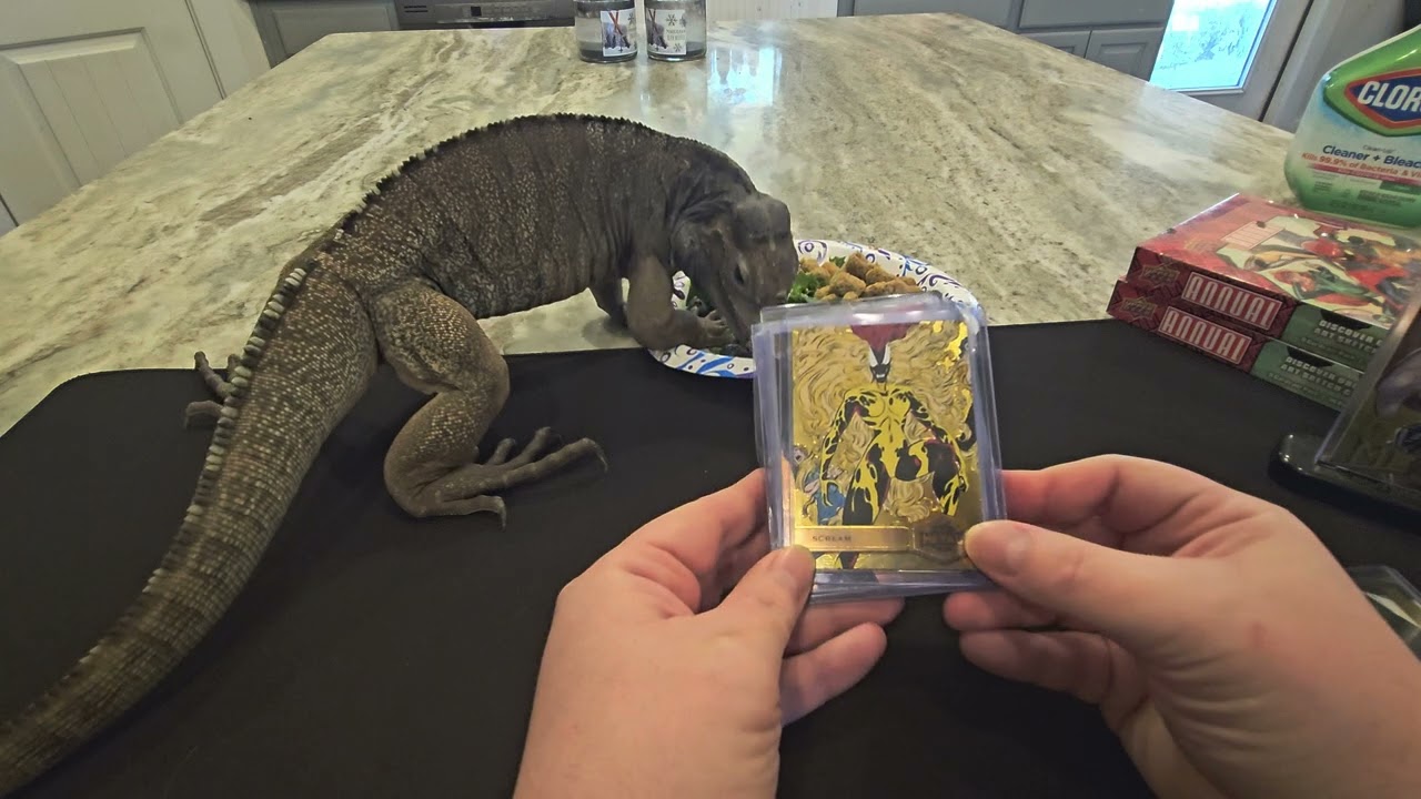 Marvel Upper Deck 2023 2024 Annual Hobby box 2nd opening with Cadbury the Rhino Iguana