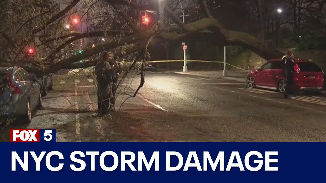 NYC storm damage