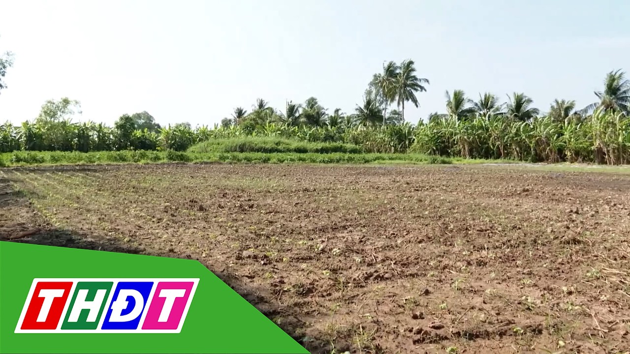 Cà Mau: Biến đất hoang thành sinh kế cho người nghèo | THDT