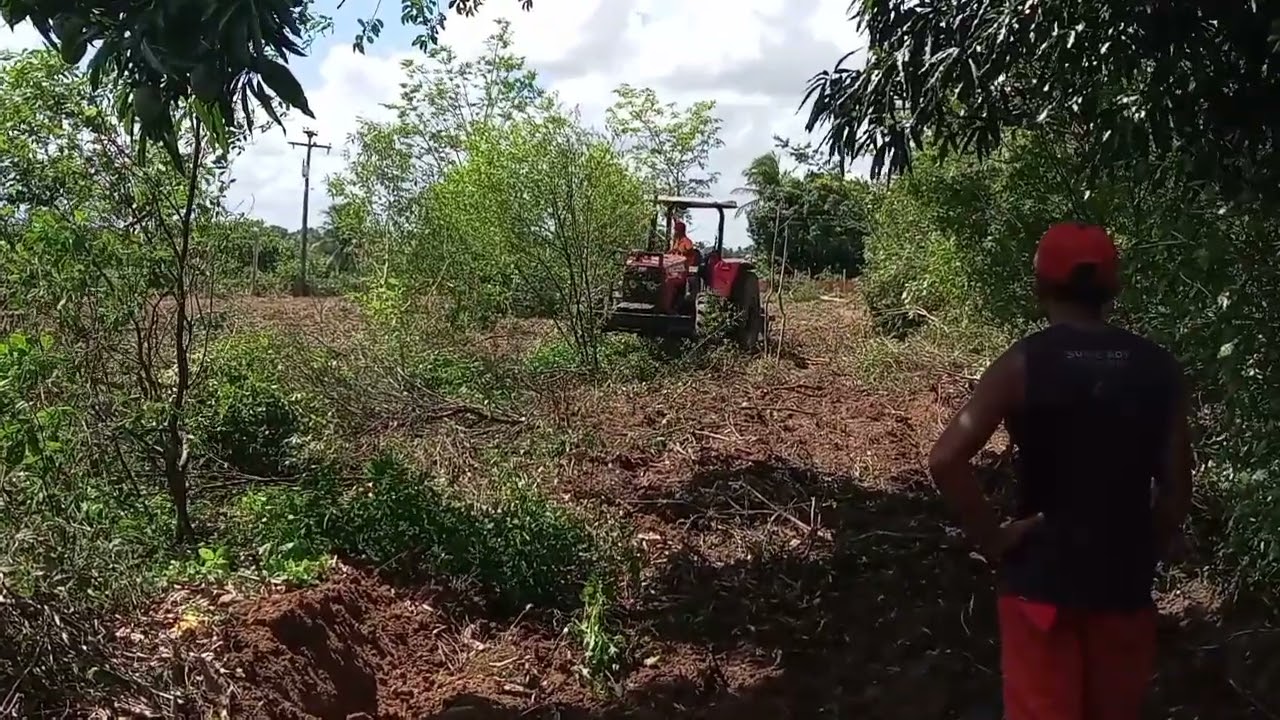 Trator Massey 283 com aradora Baldan 14×28 na brutalidade