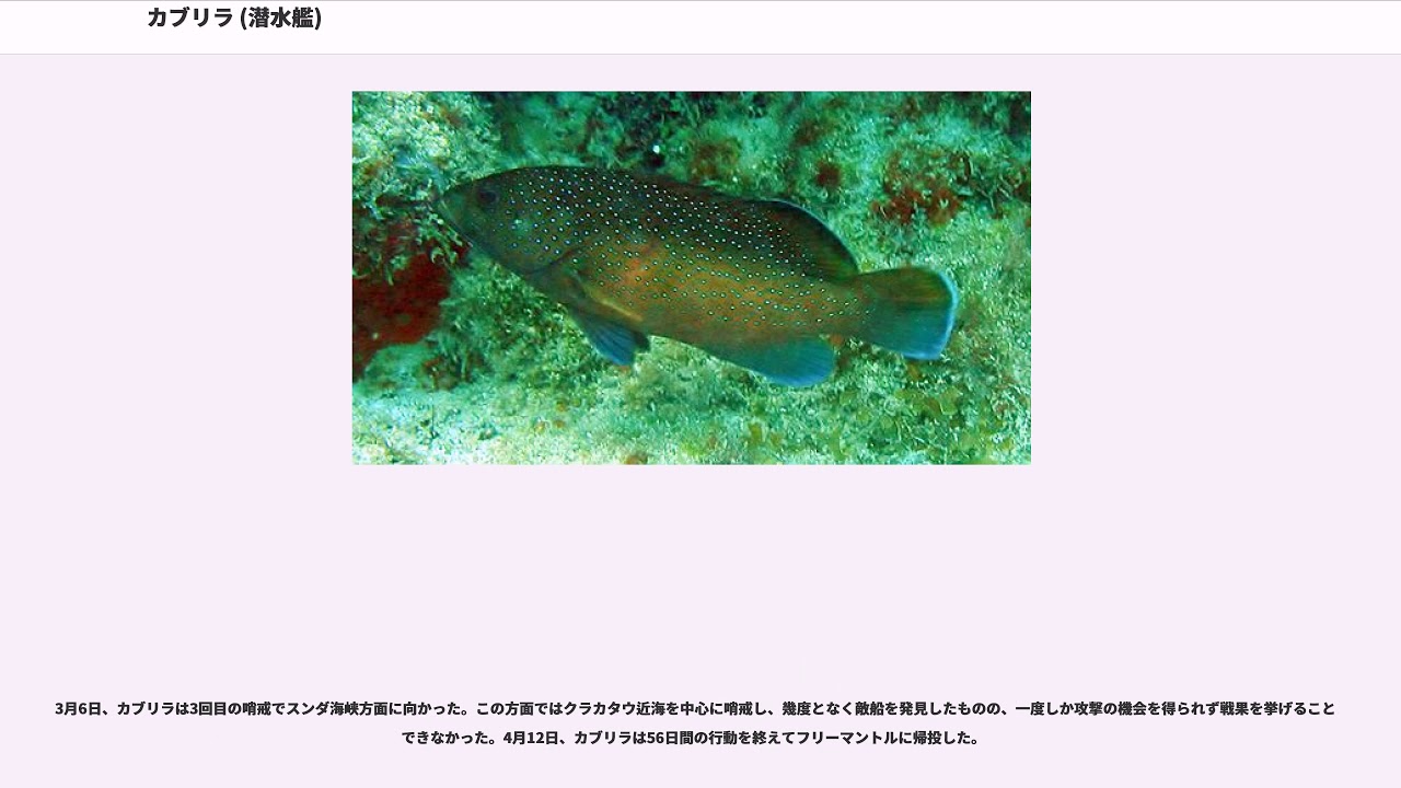 カブリラ (潜水艦)
