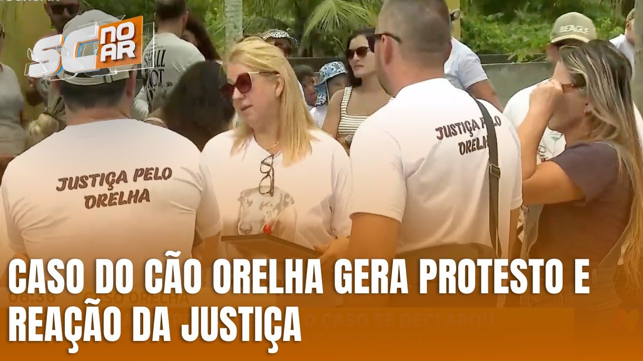 Protesto por morte de cão comunitário em Florianópolis avança na Justiça