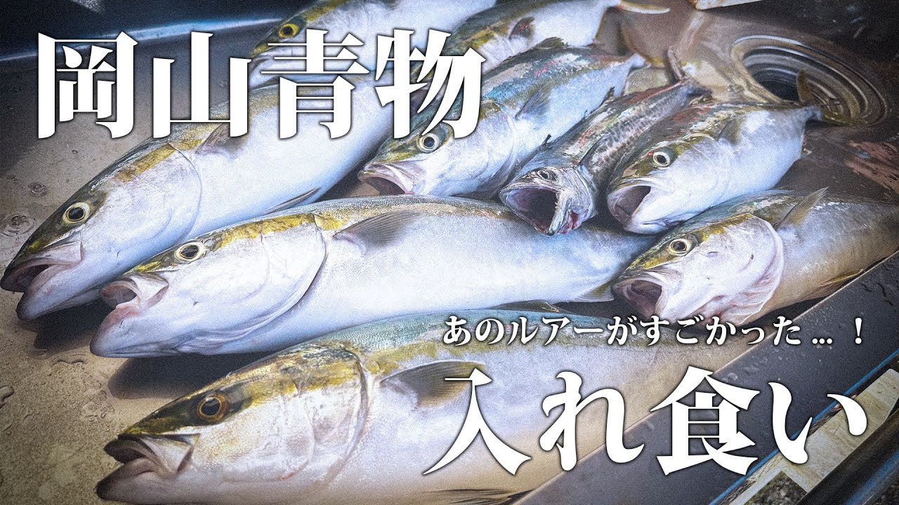 【岡山】下津井沖磯で青物入れ食いモード。あの必殺のルアーが炸裂した...！！