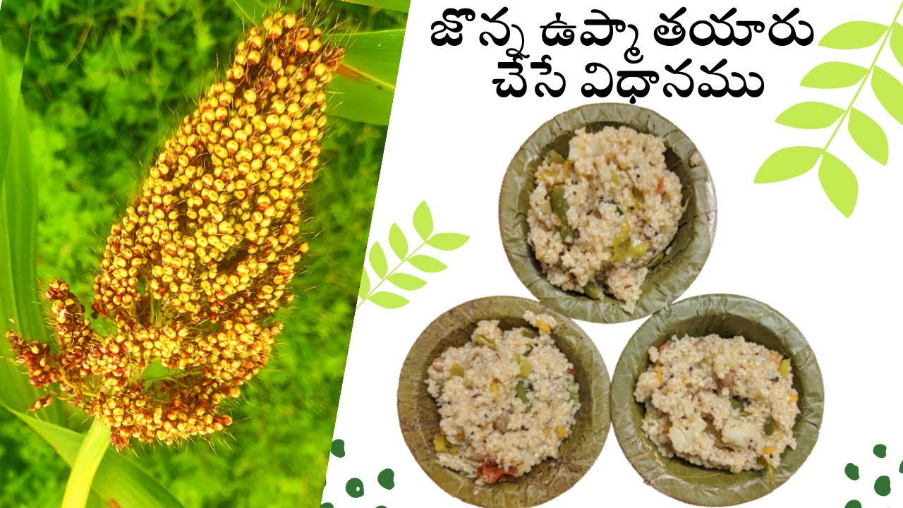 Recipe - Jonna Upma Millet