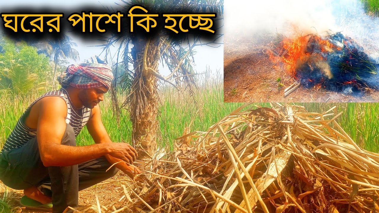 Cleaning the Jungle Near Manik Da’s House | Small Fire Clearing Vlog