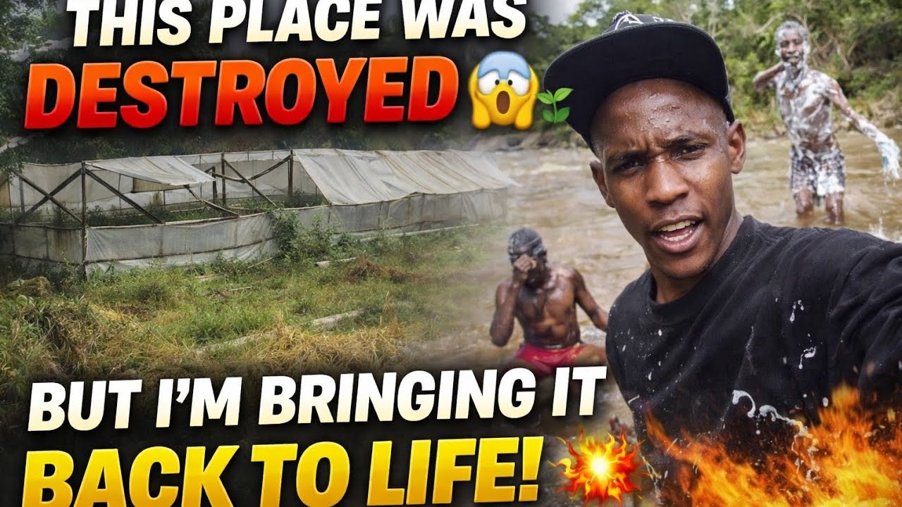 Reviving the Forgotten Greenhouse 🌱 | Day 1 of My Farming Dream💔🌿/River swimming vibes🏊