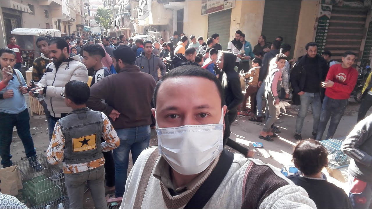 #من_داخل_سوق_خورشيد_للطيور مع اصغر غاوي حمام في الاسكندرية الاستاذ حمزه