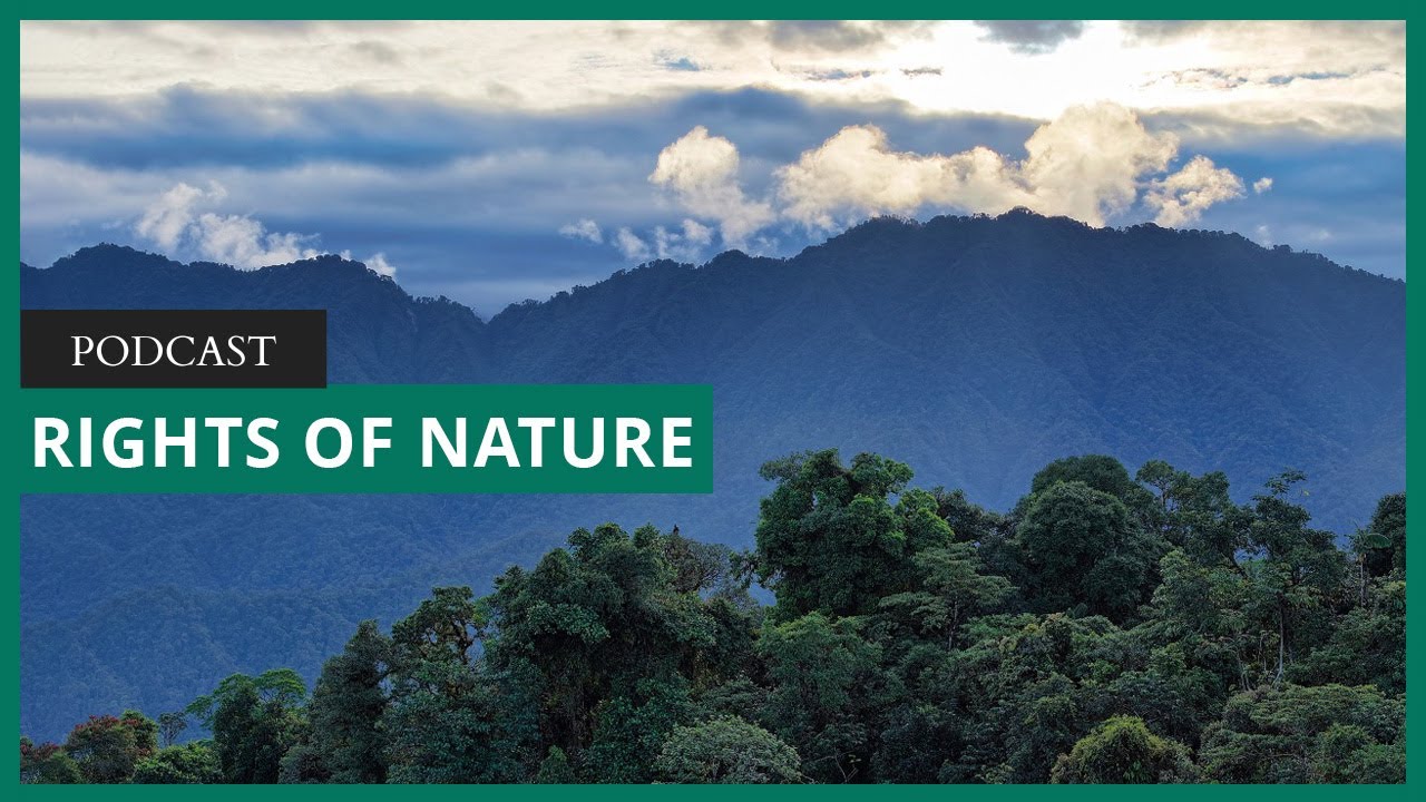 The rights of nature, legal personhood, and other new ways that the law can protect the planet